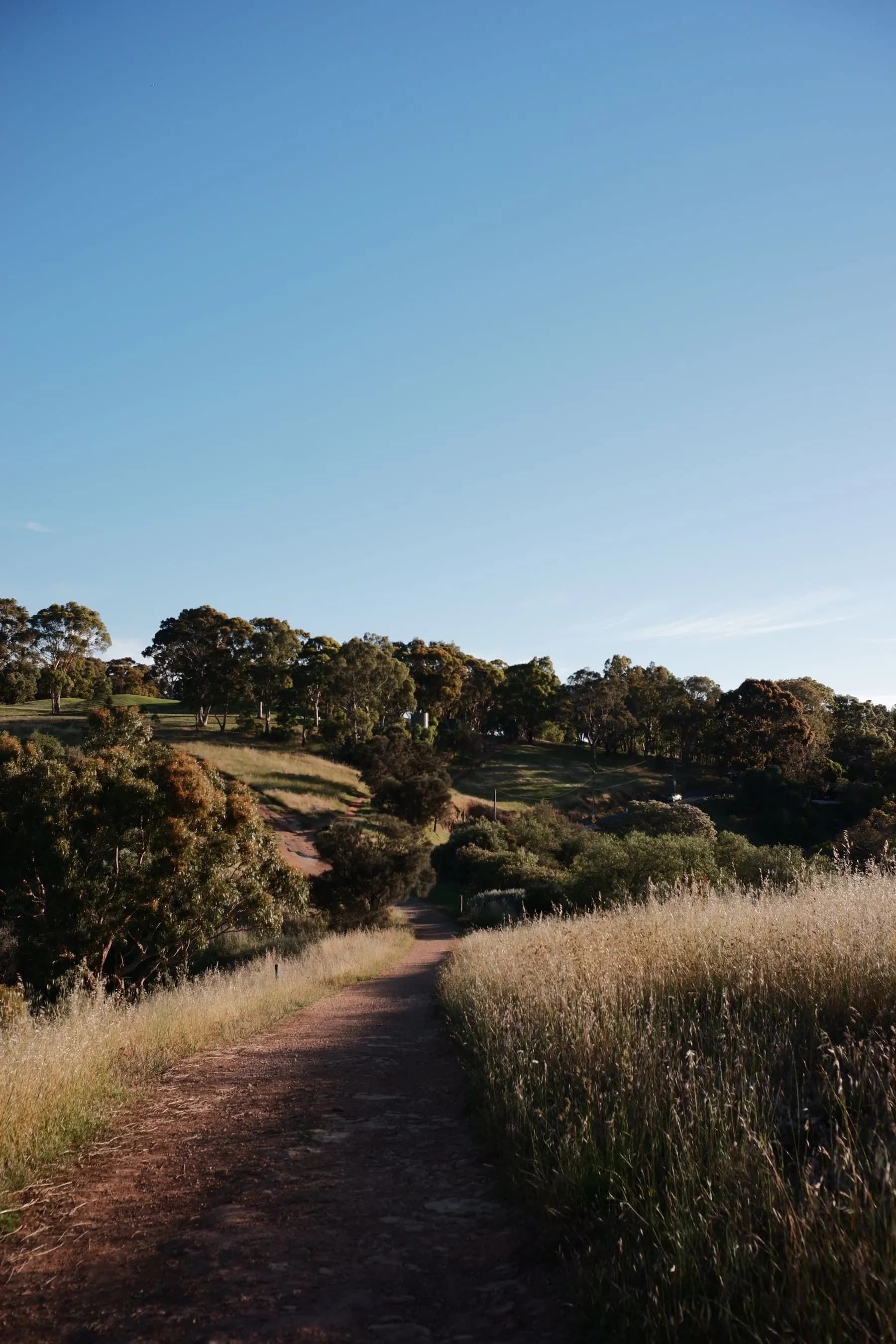 A scenic walking trail winding through the hills at Mount Osmond, South Australia